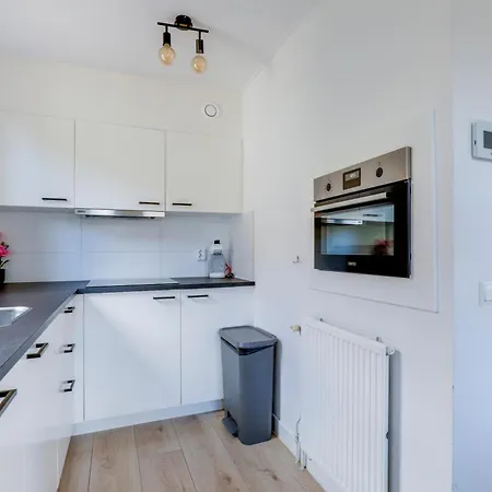6 - Persoons Area 16 Holiday home Ewijk